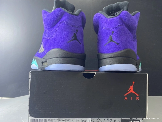 Chep Onekick Retro Air Alternate Grape 136027-500 Jordan 5 0719